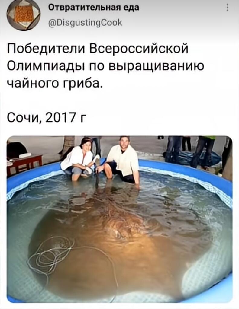 Грибочек
