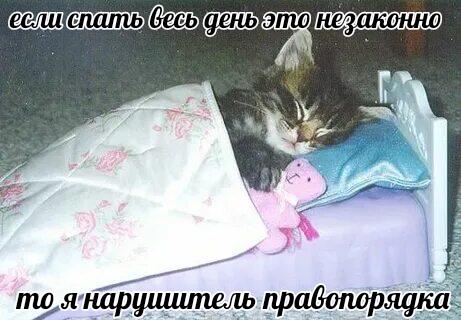 Мем без подписи