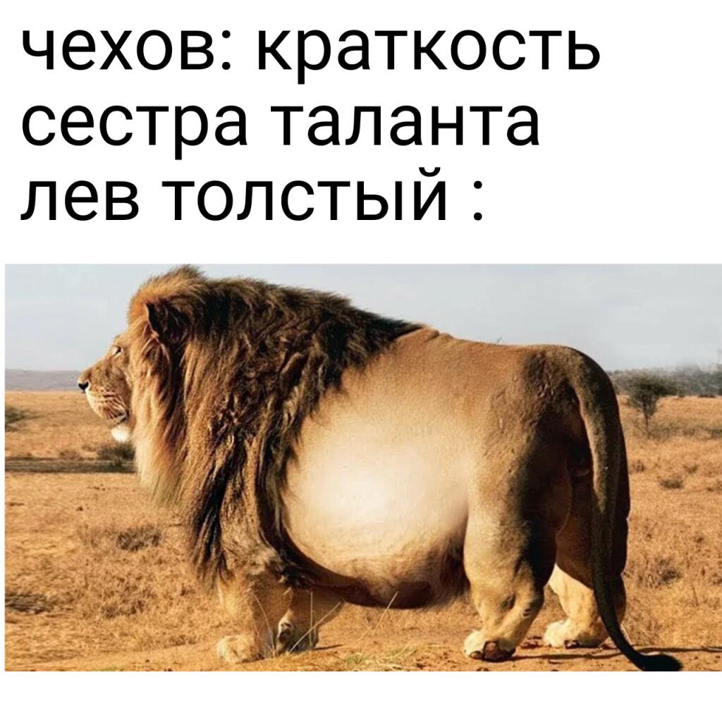 Мем от Очкастый магнит [ПЛМ]✓