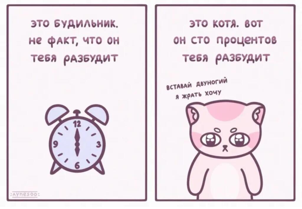 Мем от Мемный челик ²⁰²⁵ official