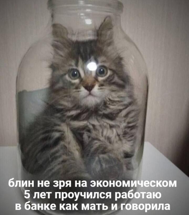Мем без подписи