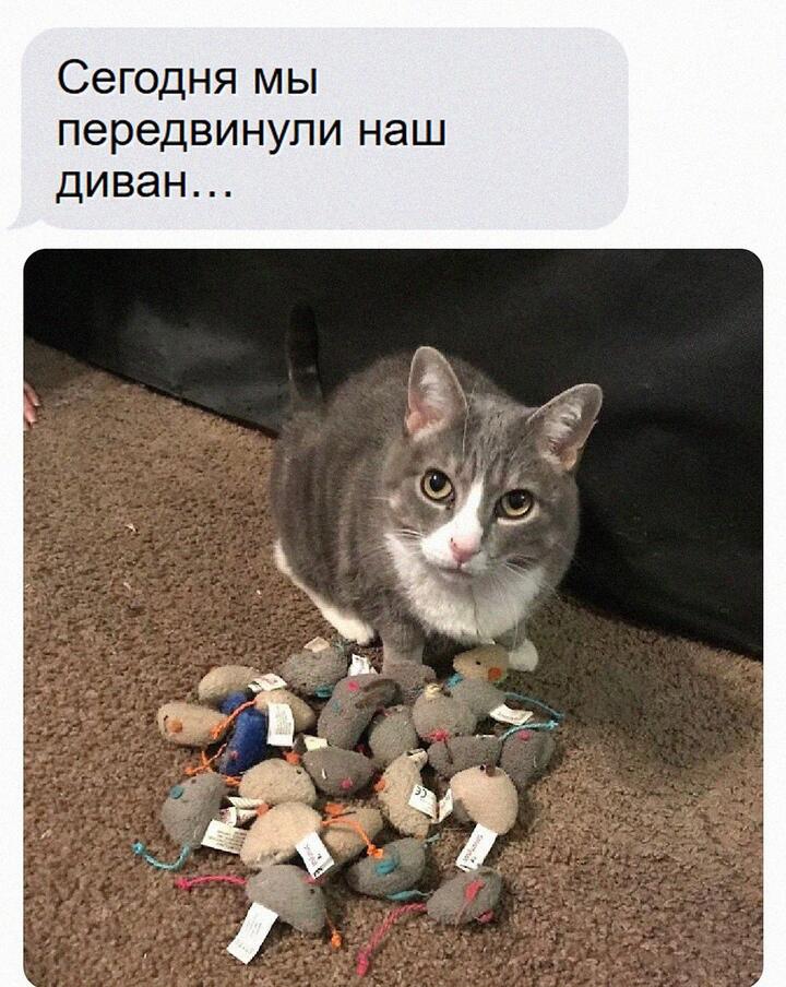 Мем от Арихана Арими
