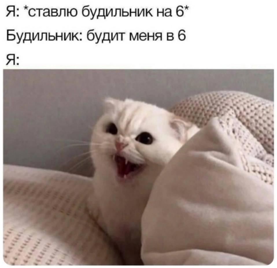 Мем от Мемный челик [{БЕССМЕРТНЫЙ}]