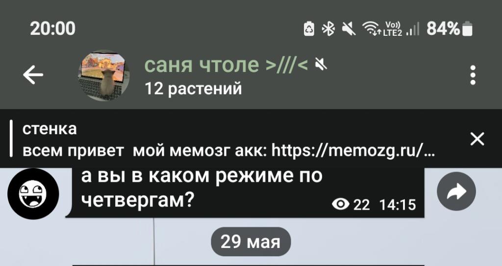 ура! 12 пописчиков в тгк! всем спасибо! теперь буду тгк синхронизирова...