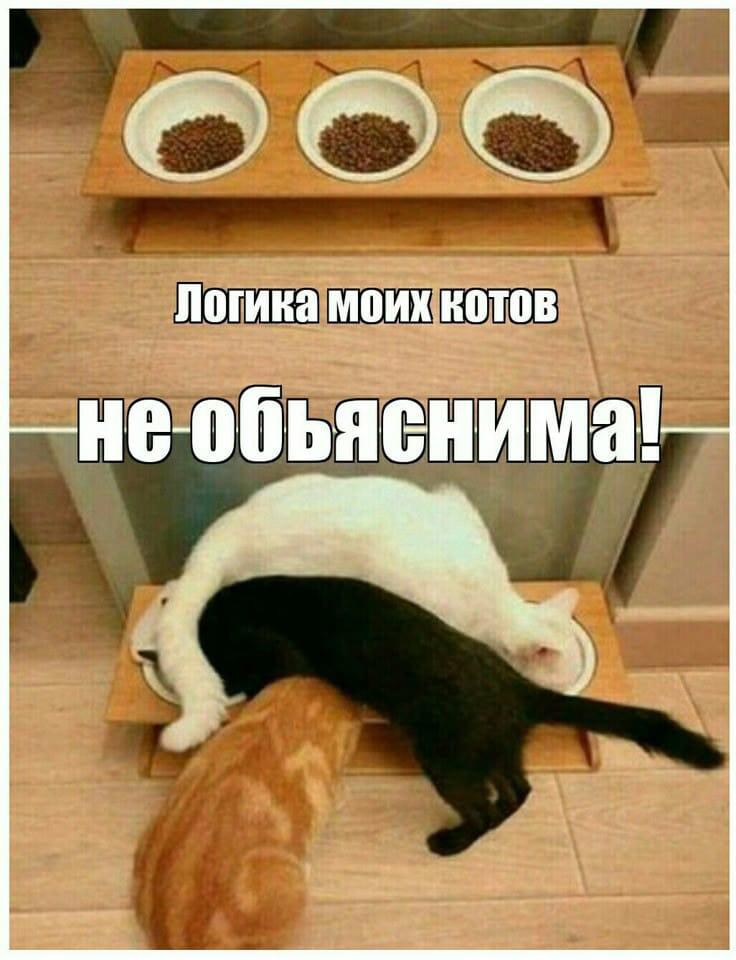Ха.....