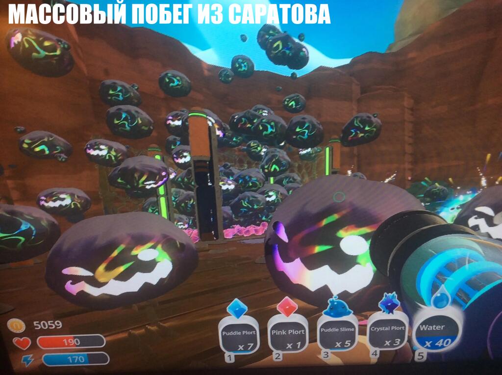 ЭПИДЕМИЯ ВЕСЁЛЫХ РОЖ