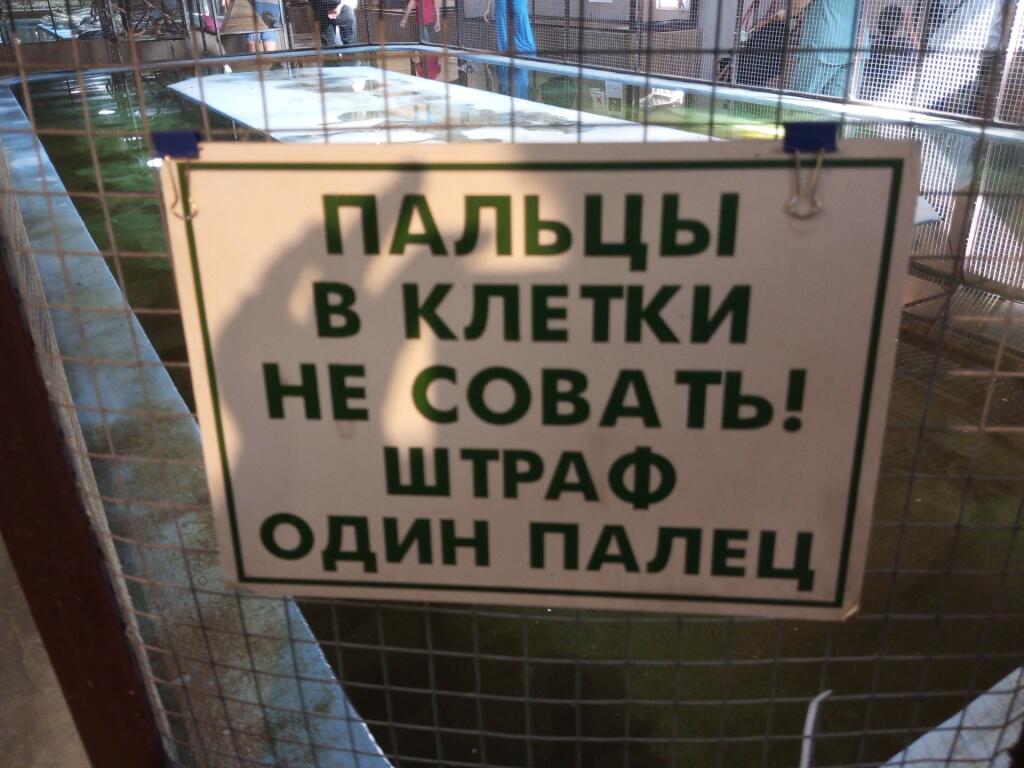 Мем от Акк заброшен всем пока