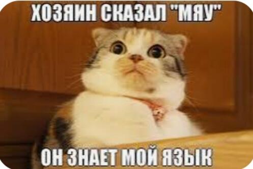 Жаль что с 12 грамматическими ошибками