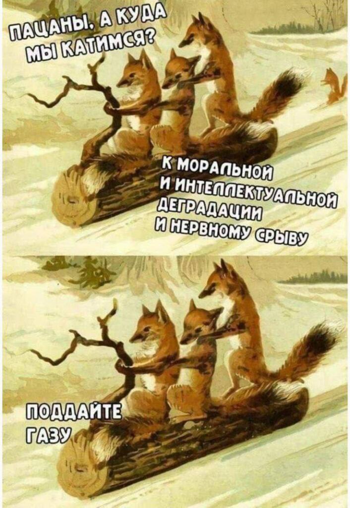 Лис сидит на бревне, но их трое