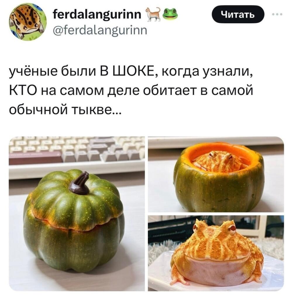 Мем без подписи