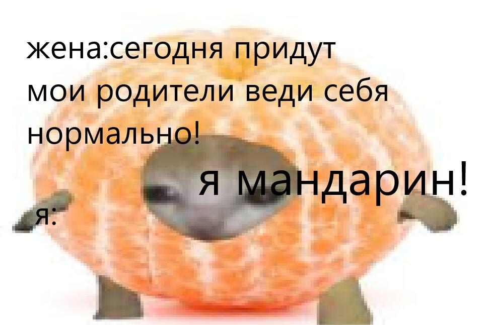 жиза
