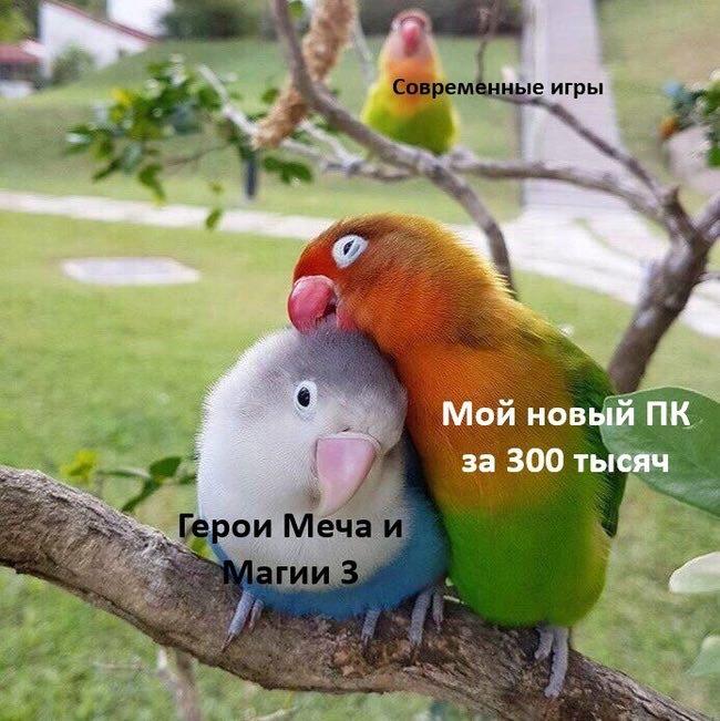 Мем от КотоУт
