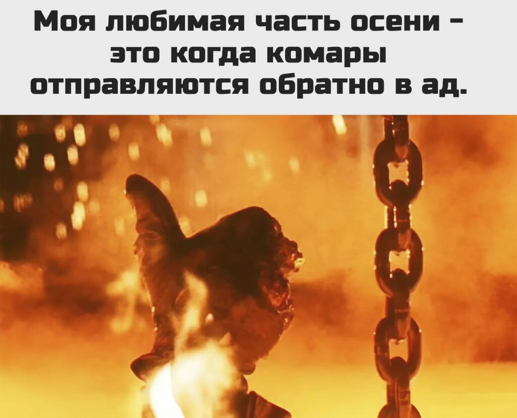Сорян за отсутствие постов.