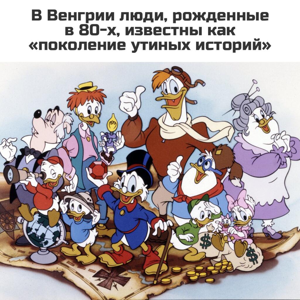 Интересный факт