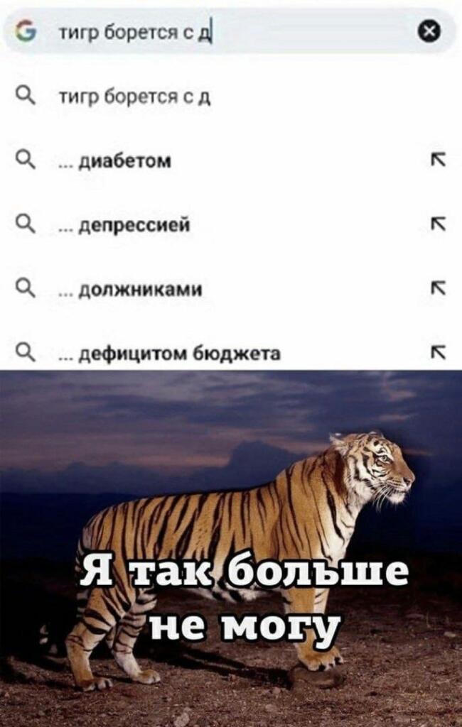 Муся, это ты? Нет, это экзистенциальный кризис