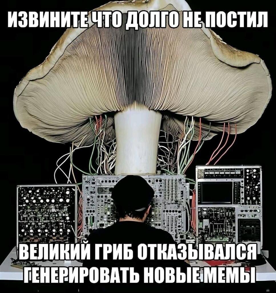 Мем от Essence