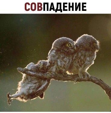 Алексей, вы упали)