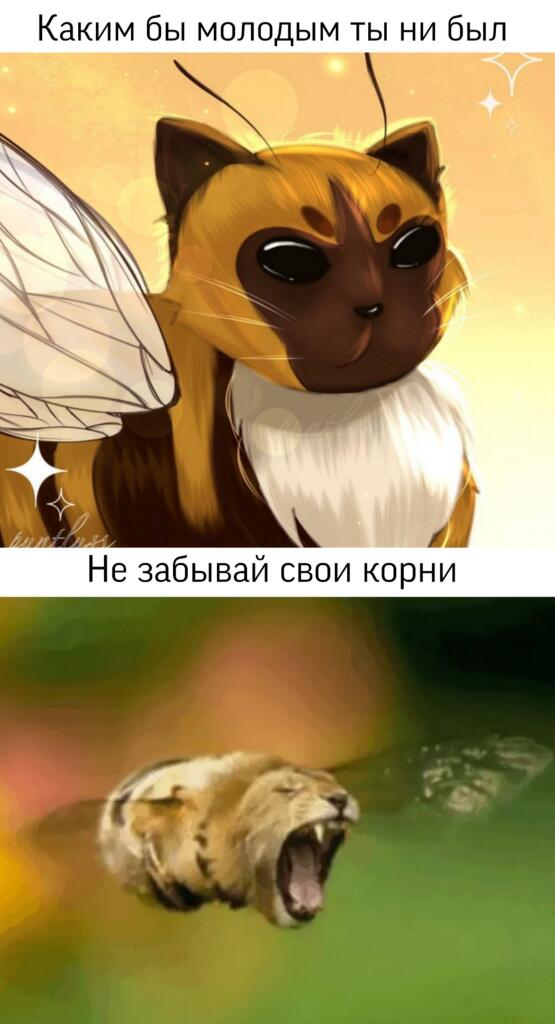 Мем без подписи