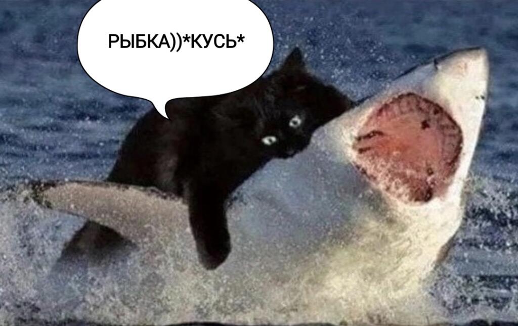 -о нет ,акула
Также кот)))