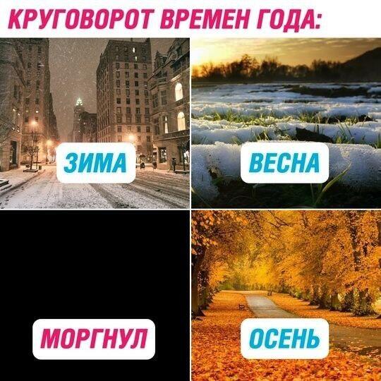 Мем без подписи