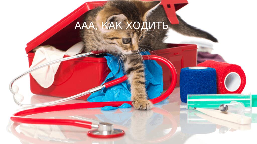Я в спортзале: так круто! такой прилив энергии, вау! Так же я на утро: