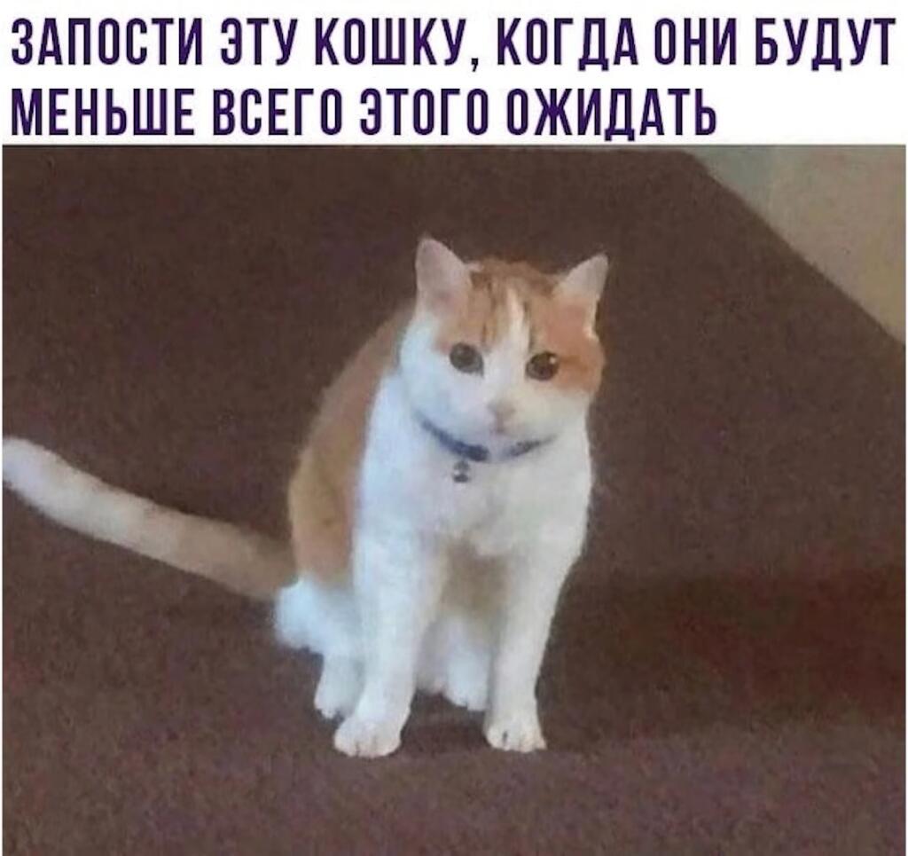 Мем от Hining