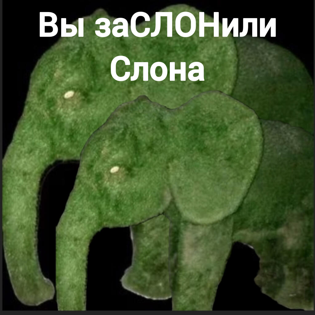 Слона заслонили