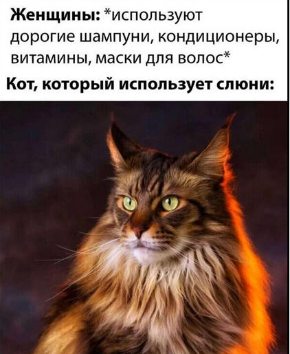 Мем без подписи