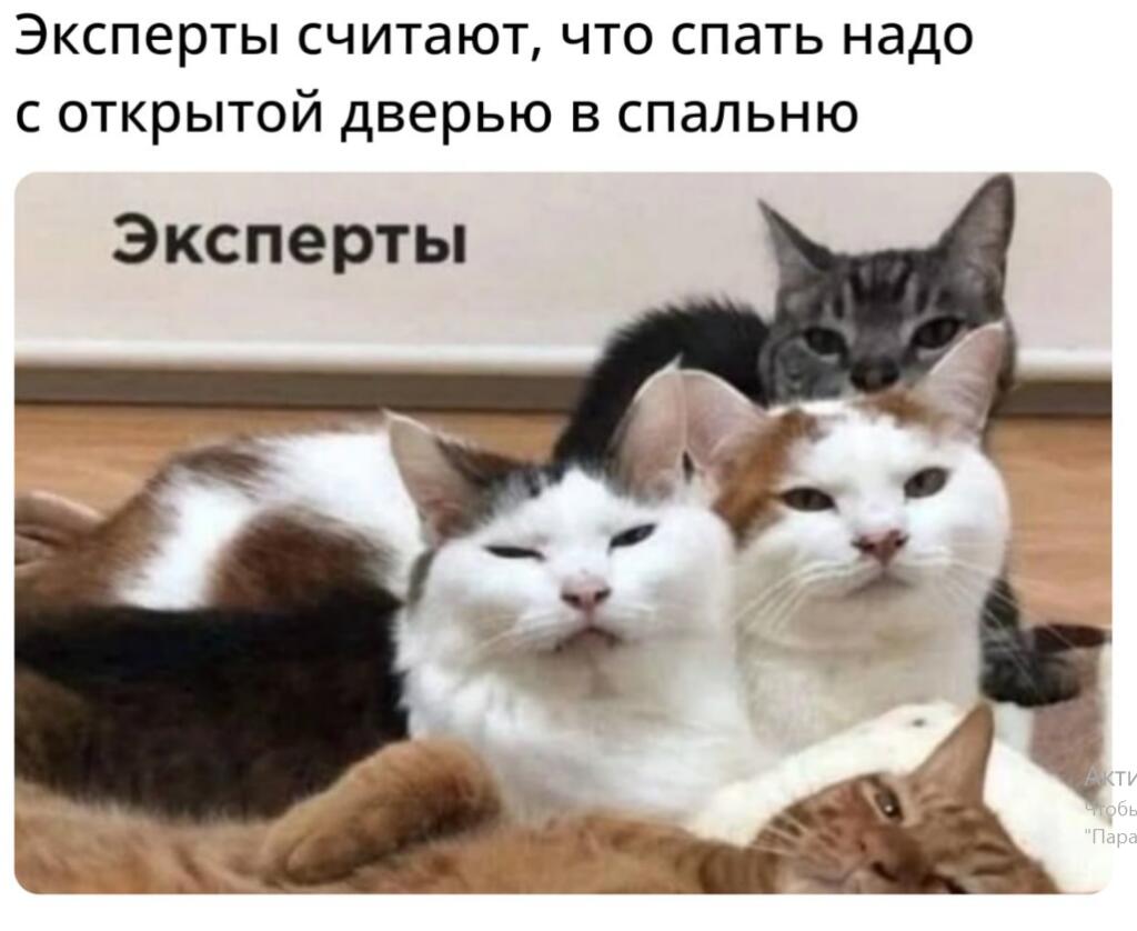 Мем от suuuuuuu555 ဗ