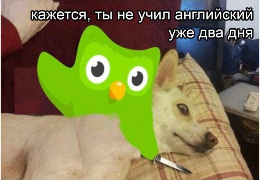 Вот почему меня не было два дня: