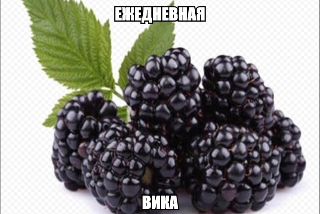 Не ну просто обычный ржакамем