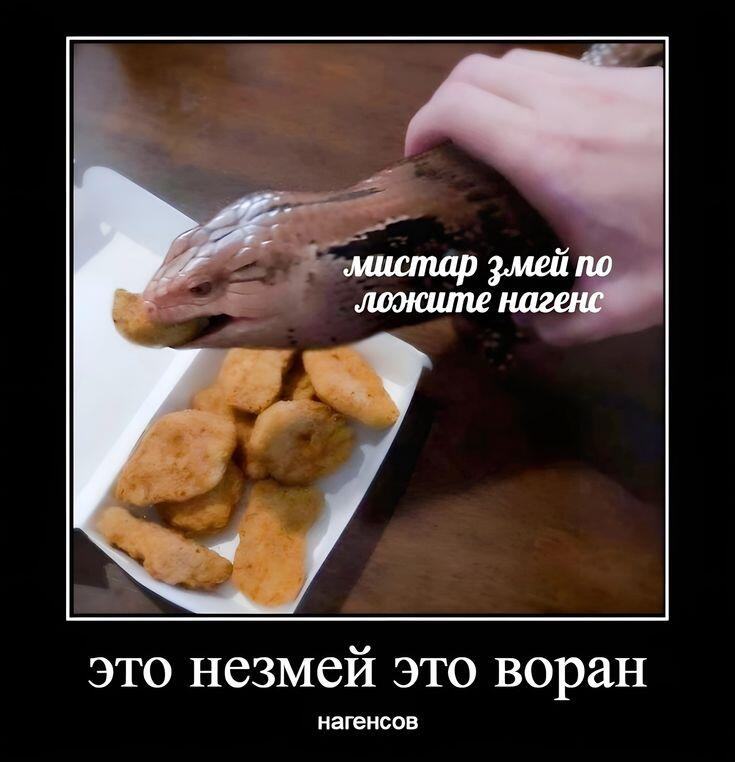 Он не воран, он сцинк