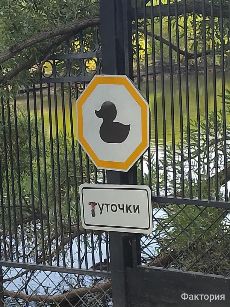 Осторожно туточки! 🦆