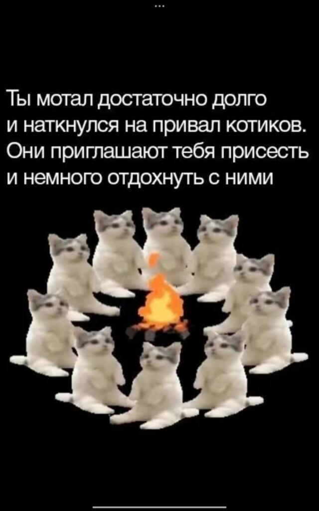 Мем без подписи