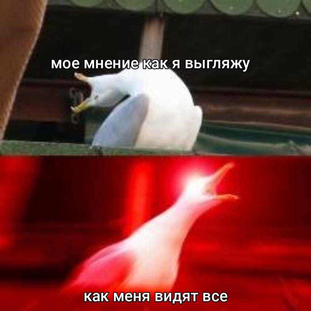 Мем от Kittlez987