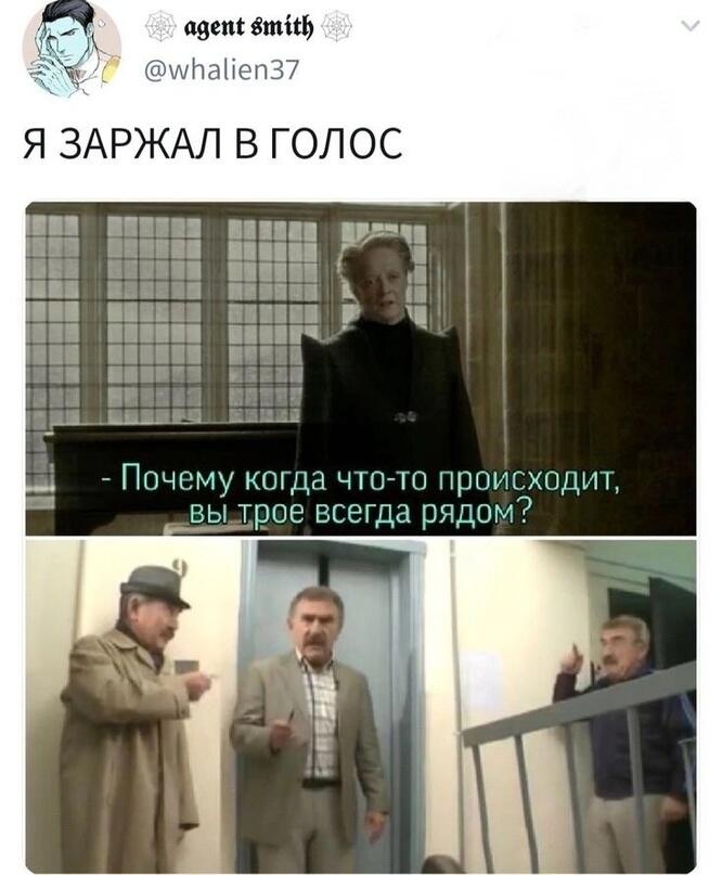 Каневского вам в ленту! #5