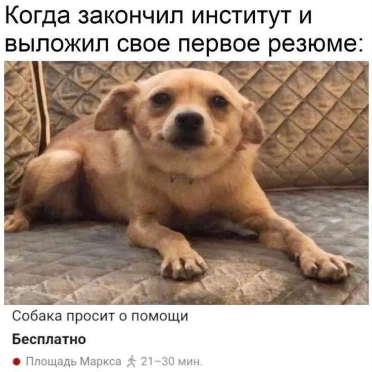Интересно, есть ли на мемозге люди закончившие институт? (ну кроме мод...