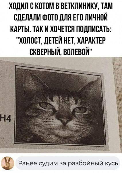 Безупречное досье