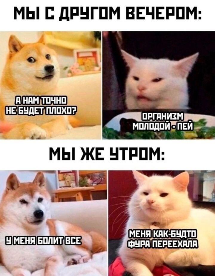 Мем от Srego