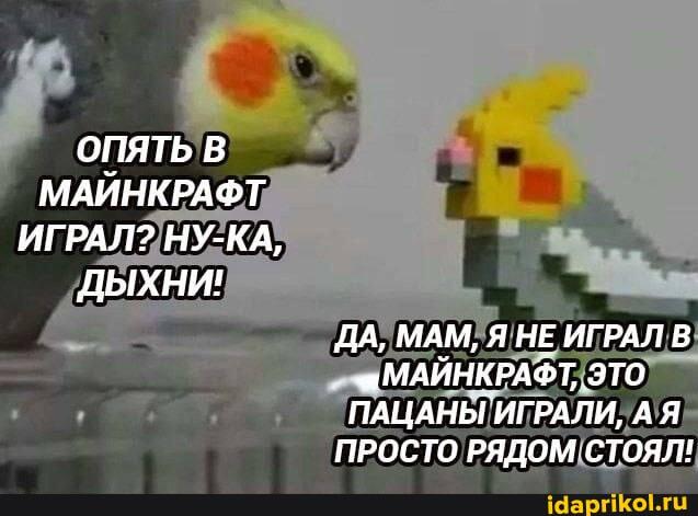 Мем от memchiki_kruto