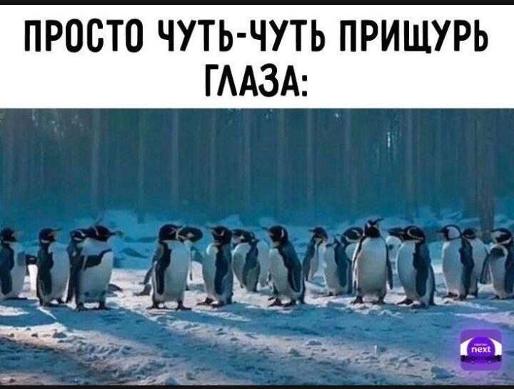Хоть я и своровал, но сегодня у меня 31, так что не грустите, по лету...