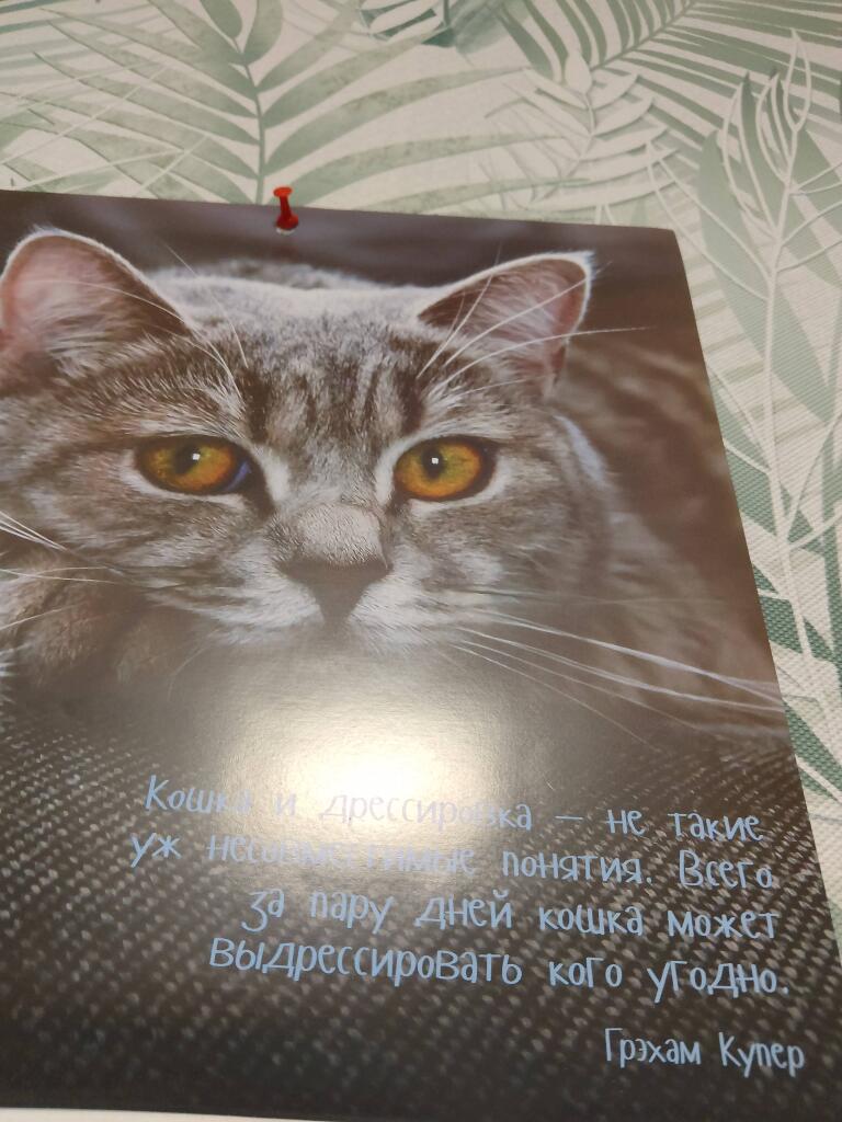 Посмотрите