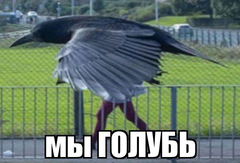 Мем без подписи