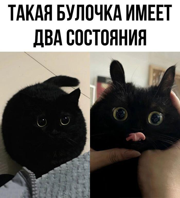 :Р