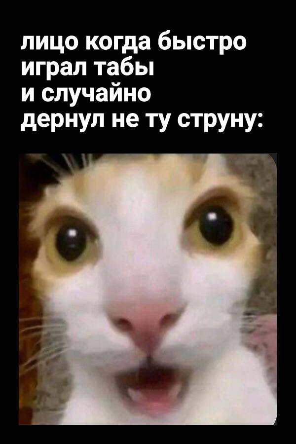 Мем от 𝕺𝖙𝖍𝖊𝖗
