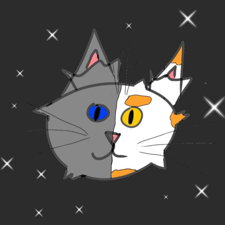 °
°-°