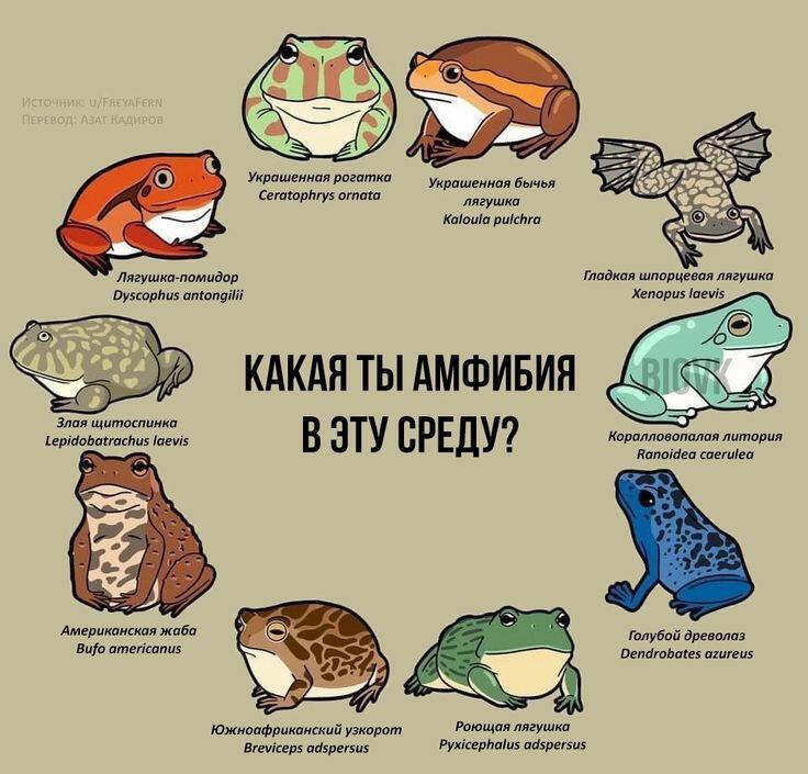 Мем без подписи
