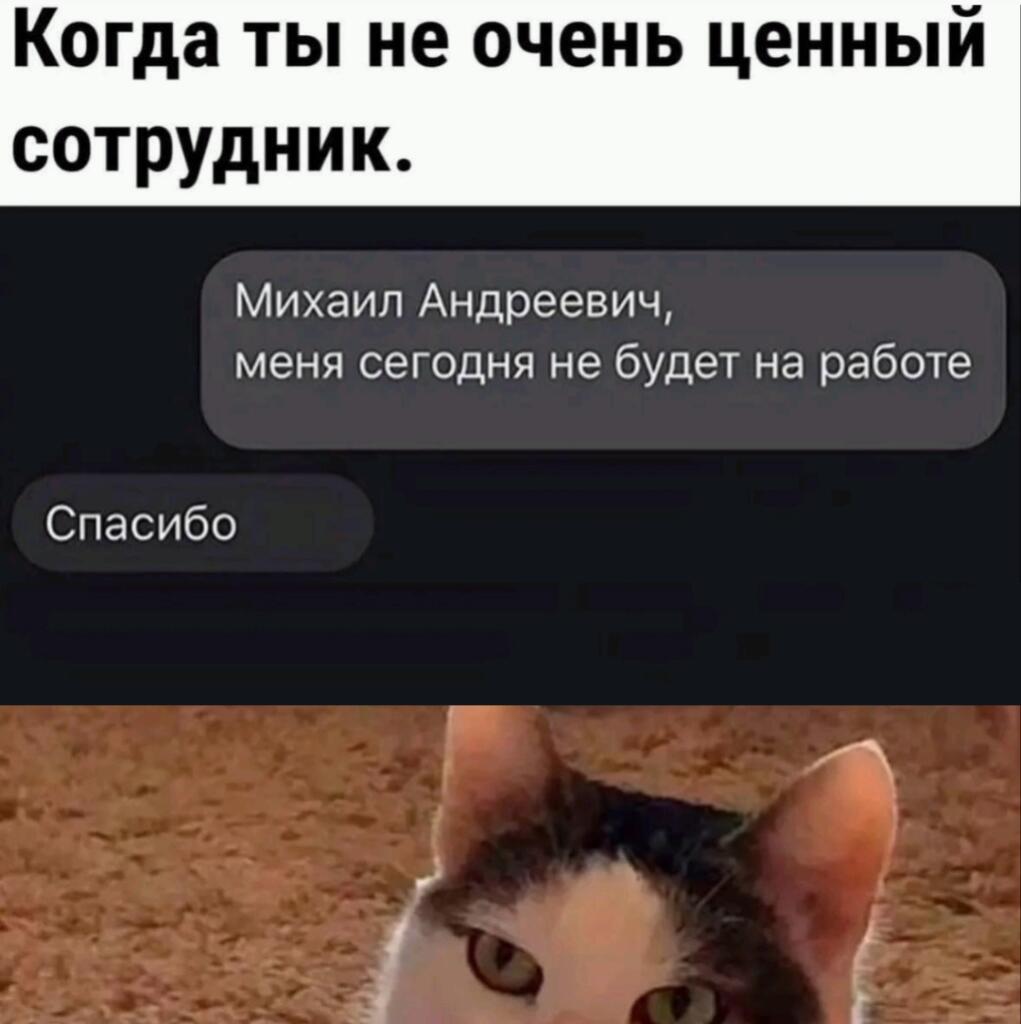 Мем без подписи