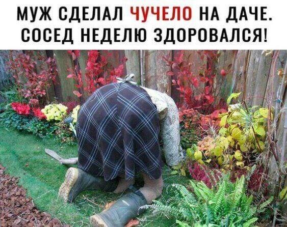 Мем от Weiss
