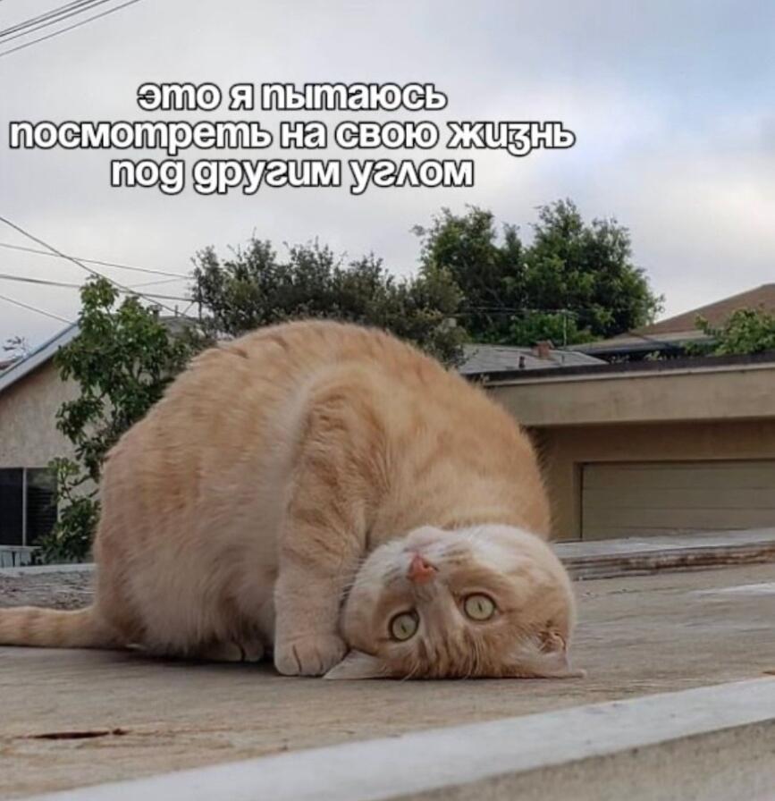Мем от Meme Creator